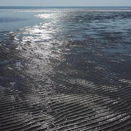 Ciclamino アパート *