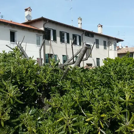 Ciclamino * Grado